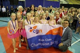 Fancy Fair Impact Color Guard