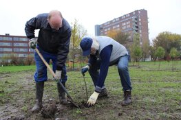 Landschapsbeheer Friesland en FMF zetten in op 92.000 bomen met Beammen foar Elkenien