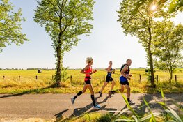 Friesland op zijn mooist tijdens zonovergoten editie Mar-athon Sneek