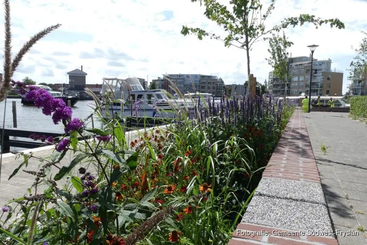 Klipperkade vernieuwd met ruimte voor meer groen