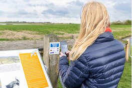 Unieke podcast over de weidevogels in De Greidhoek 'yn 'e loft'