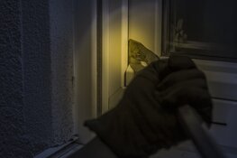In deze Friese gemeenten vinden meeste schuurinbraken plaats