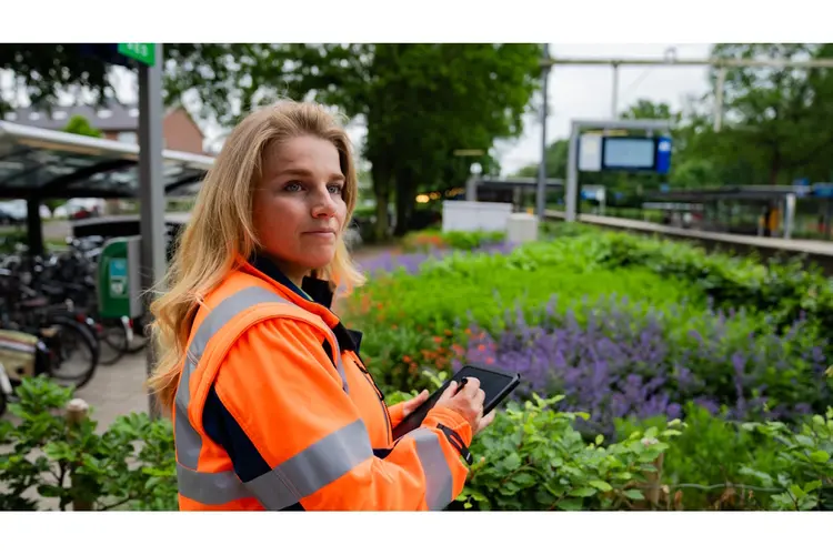 Meer bloemen en bijen bij het station van IJlst
