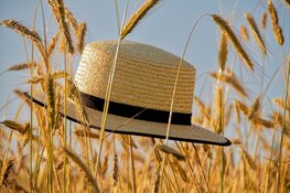 Komende week stabiel en grotendeels droog zomerweer