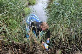 Súdwest-Fryslân maakt het verschil: in actie voor schone wateren tijdens Skjin Wetter!