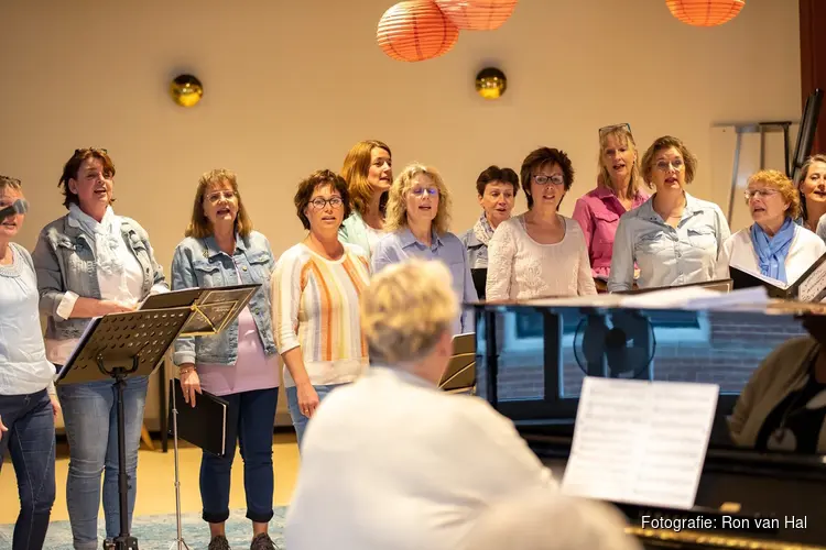 Súdwest Festival 2025: Een middag vol muzikale verrassingen!