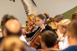 Súdwest Festival 2025: Een middag vol muzikale verrassingen!