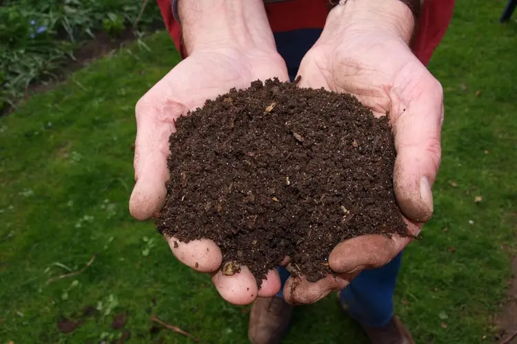 Kan jouw tuin wel wat compost gebruiken?