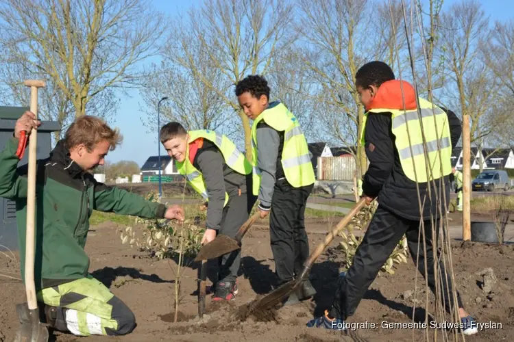 Leerlingen Stavoren in actie voor Boomfeestdag
