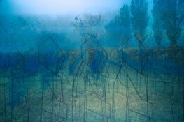 Expositie van fotograaf Hanno Elzinga in het Antonius Ziekenhuis