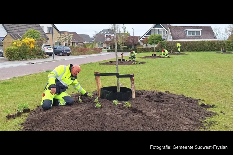 Veel kleur rondom 400 nieuwe bomen