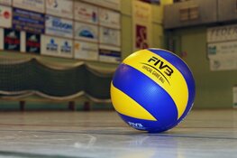 Volleybalvereniging Punt út viert 50 jaar sport en plezier in Blauwhuis