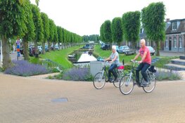 Bijzondere boom in je tuin? Meld ’m aan!