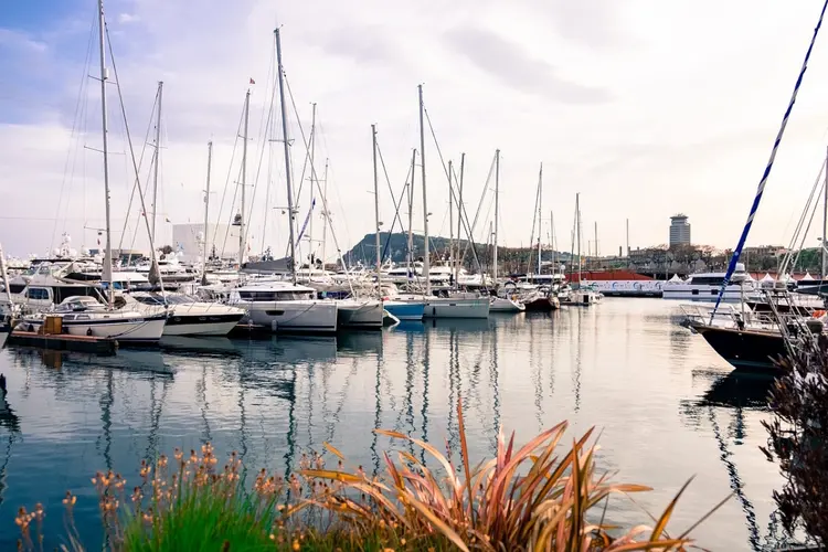 Sneekweek 2025: Stad vol watersport, muziek en gezelligheid!
