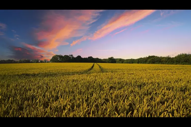 Thema-avond Veilig Platteland