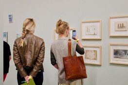 Museum Belvédère presenteert:  Art Noord VII