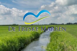 Vrijwilligers vinden 300.000 Friese voorouders in De Fryske Marren en Súdwest-Fryslân