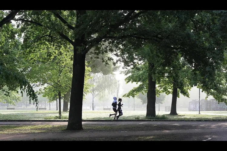 Friezen derde van Nederland, toch voldoet minder dan helft aan beweegrichtlijn