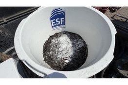 368.500 jonge palingen uitgezet in Friese wateren